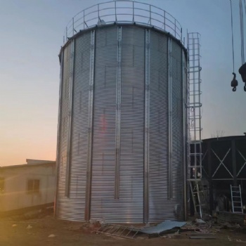 裝配式全鋼錐底小麥鋼板倉 1000噸水稻倉 鋼板倉廠家直供 工期短