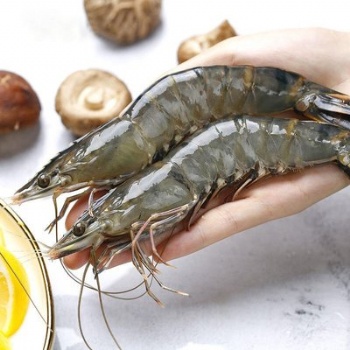 進口海鮮蝦蟹魚報關流程及相關單證