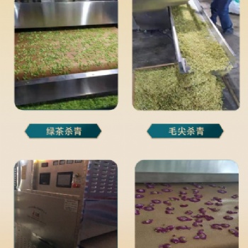 桂花微波殺青機 隧道式花茶茶葉生產線 金銀花玫瑰花固色設備