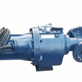 浙江 湖州 低速潛水推流器 QDT1.5/4-1100/2-85/P