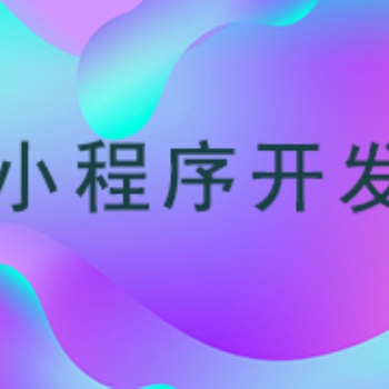 武漢小程序開(kāi)發(fā)——大劉信息