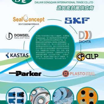瑞士dichta油封 V形圈 水封