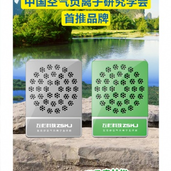 左杉 負離子發生器家用負氧離子機空氣凈化器