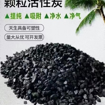有機溶劑回收 核桃殼活性炭 特俐牌果殼活性炭