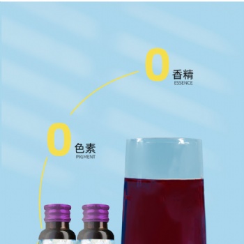 桑葚酵素飲品批發各類果蔬濃縮汁益生菌飲品代加百未草工