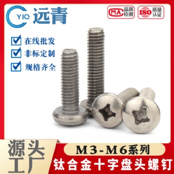 鈦合金TA2十字圓頭自攻螺絲純鈦盤頭小木牙螺釘大全M3M4M5M6X8X10