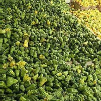 中藥材種植收購加工佛手種植收購