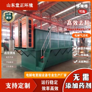 電催化氧化設(shè)備 無需加藥電芬頓電解污水處理設(shè)備 電絮凝氣浮機(jī)