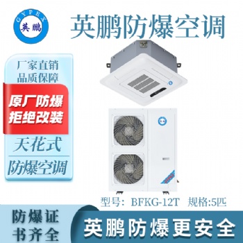 英鵬GYPEX天花式防爆空調(diào)BFKG-12T