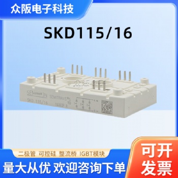 SKD115-16 整流橋模塊 現(xiàn)貨現(xiàn)發(fā) 歡迎咨詢