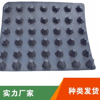 保定排水板規(guī)格齊全施工便捷