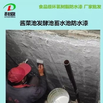 發酵池醬菜池污水池游樂場防腐防水漆