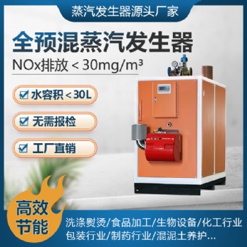 思耐德全預混超低氮燃氣蒸汽發生器