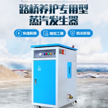 思耐德混凝土養護蒸汽發生器