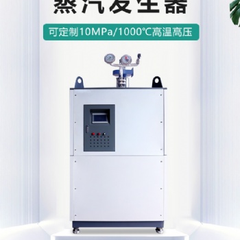 武漢思耐德專業定制各類型蒸汽發生器