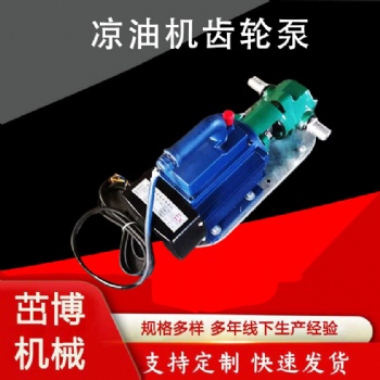廠家電動便攜式齒輪泵
