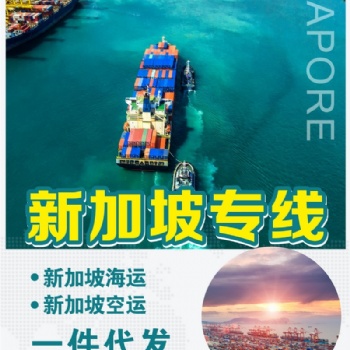 智慧國際物流新加坡海運雙清到門
