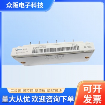 全新原裝英飛凌IGBT模塊 BSM30GP60 全新現(xiàn)貨 IGBT驅(qū)動(dòng)器