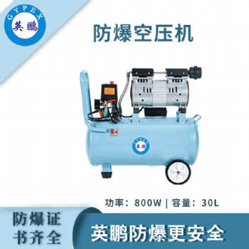 防爆空壓機(jī)-800w