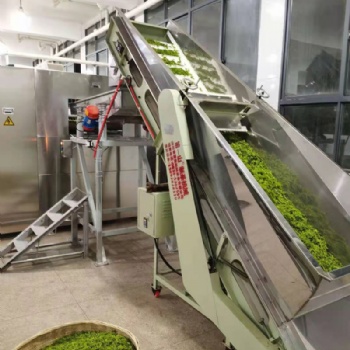 新型三層微波光波茶葉殺青機,山東康來供應