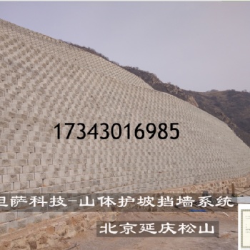 河北唐山草坪磚生產廠家