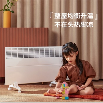 THERMOR法國賽蒙電暖器EV3D-2500