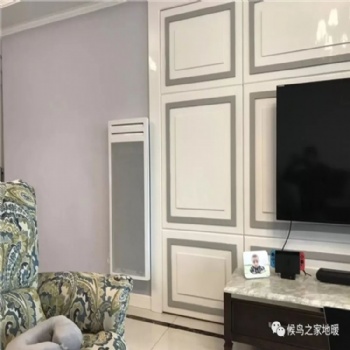 法國原裝進(jìn)口賽蒙電暖器暖氣片EV3D2500W