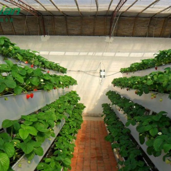 溫室大棚立體種植技術
