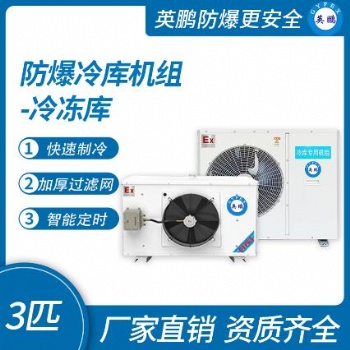 英鵬防爆冷庫(kù)機(jī)組-冷凍庫(kù)3匹
