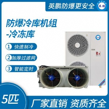 英鵬防爆冷庫(kù)機(jī)組-冷凍庫(kù)5匹