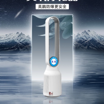 英鵬防爆臭氧凈化器||呼吸健康清新空氣