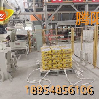 山東騰陽機械手碼垛機