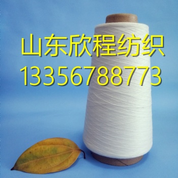 滌粘紗45支，45支TR紗線，tr滌粘紗45支，混紡滌粘紗45S，滌粘竹節(jié)紗