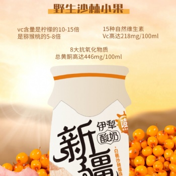 新疆小酸奶，特色風味酸奶，仿瓷瓶身，酸甜醇香