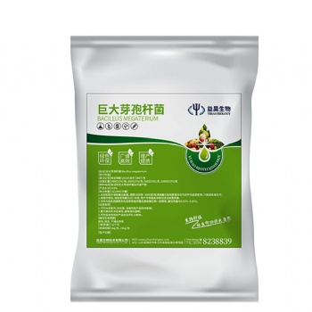 益昊生物 山東菌劑廠家 供應優質巨大芽孢桿菌 農業種植 生物有機肥添加