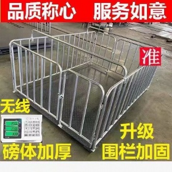 豬場用無線電子圍欄地磅供防抖動防遙控