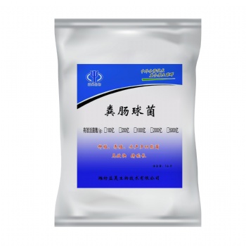 飼用級糞腸球菌 生產廠家益昊生物 OEM 凍干粉型