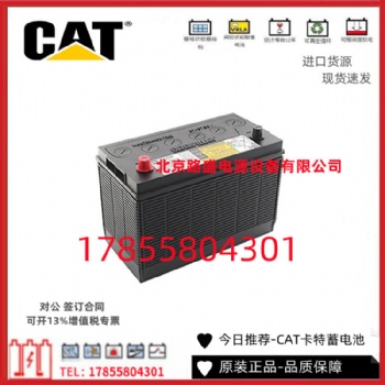 德國進口REMCO蓄電池RM12-105 免維護 12V105鉛酸蓄電池 原裝進口