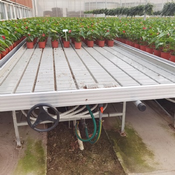 溫室大棚藥材種植架 水培潮汐式苗床塑料苗盤 鋁合金邊框 防翻卡