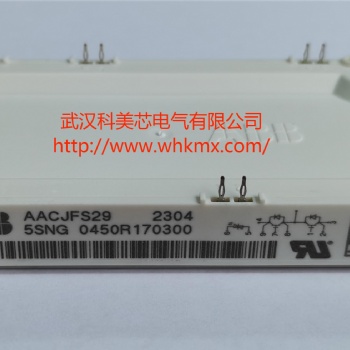 日立能源ABB IGBT模塊5SNG 0450R170300