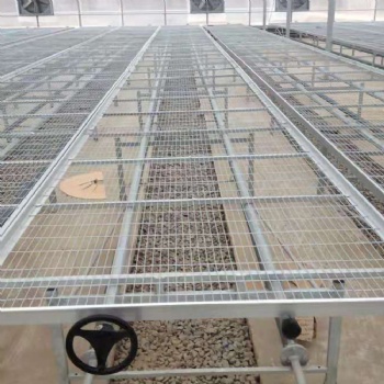 水肥一體化植物種植苗床 玻璃溫室移動苗床 使用方便