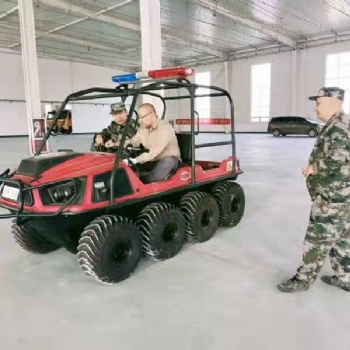霸王龍BWL全地形水陸兩棲車(chē)**的兩棲“鋼鐵猛獸”