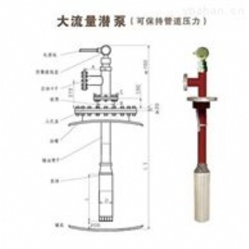 大流量潛泵綠牌防爆化工泵