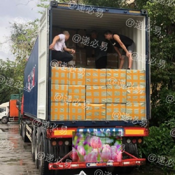出口東南亞國家專線十年一手莊物流經(jīng)驗(yàn)