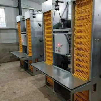 自動撿蛋機層疊式撿蛋機階梯式撿蛋機?