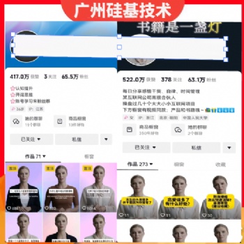 AI 數(shù)字人制作工具 HeyGen電腦使用附詳細(xì)使用教程-抖yin不限流
