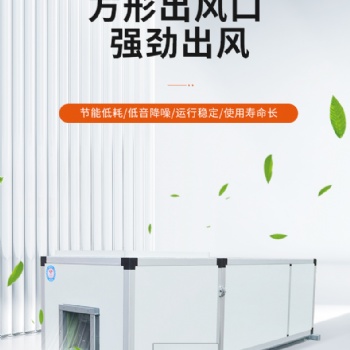 直膨式恒濕恒溫凈化空調機組