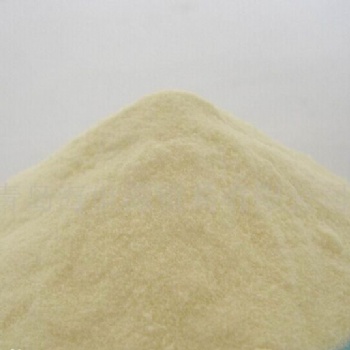 玉米蛋白粉 蛋白粉 百淼生物