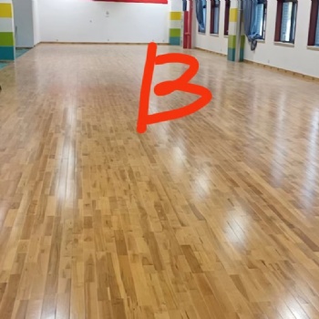 實木質(zhì)量 匠心工藝河北高品質(zhì)運動木地板