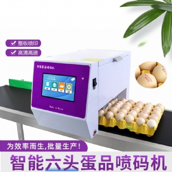 雞蛋六頭噴碼機，蛋品噴碼打碼機